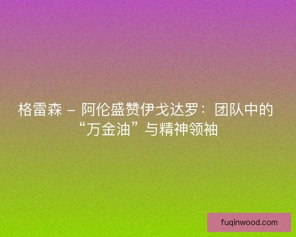 格雷森 - 阿伦盛赞伊戈达罗：团队中的 “万金油” 与精神领袖