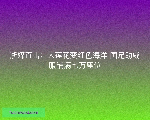 浙媒直击：大莲花变红色海洋 国足助威服铺满七万座位